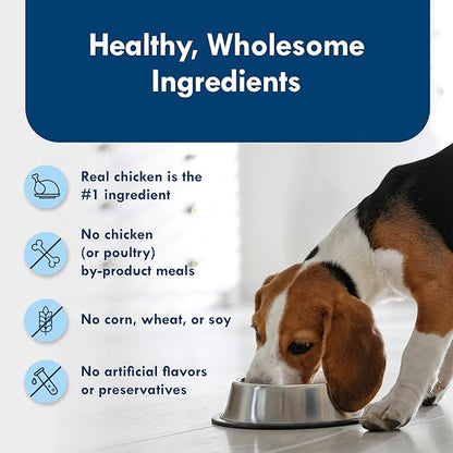 Blue Buffalo Divine Delights Small Breed Wet Dog Food, Made with Natural Ingredients, Rotisserie Chicken Flavor in Hearty Gravy, 3.5-oz. Cups (12 Count)
