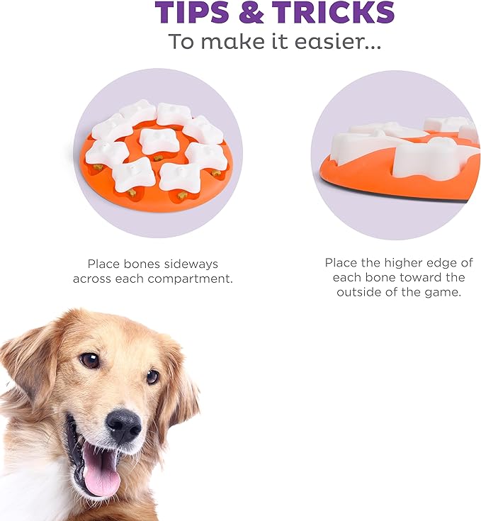 Outward Hound Nina Ottosson Dog Smart Dog Puzzle Interactive Treat Puzzle Dog Enrichment Dog Toy, Level 1 Beginner, Orange