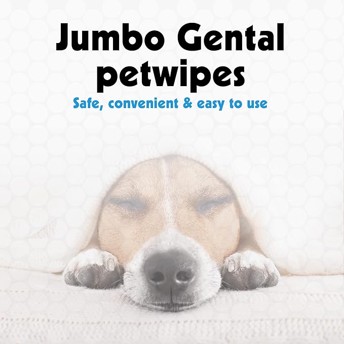 Petkin Jumbo Pet Eye Wipes, 80 Extra Moist Wipes - Gentle Eye Cleansing Wipes Remove Dirt, Discharge, & Tear Stains - Safe, Convenient, & Easy to Use Pet Wipes for Dogs, Cats, Puppies & Kittens