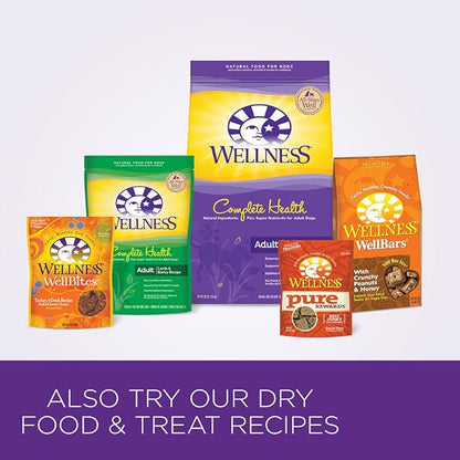 Wellness 95% Chicken Natural Wet Grain Free Canned Dog Food, 13.2-Ounce Can