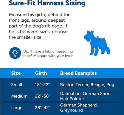 PetSafe Sure-Fit Harness – Five Point Adjustable Dog Harness – from The Makers of The Easy Walk Harness – Small, Red