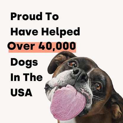 Kayode Daily Multi - Natural Homemade Dog Food Supplement. Dog Multivitamin with Omega for Dogs. Superfood Led. Dog Food Supplement for Homemade Food. Give As Treat Or Crumble On Meals.
