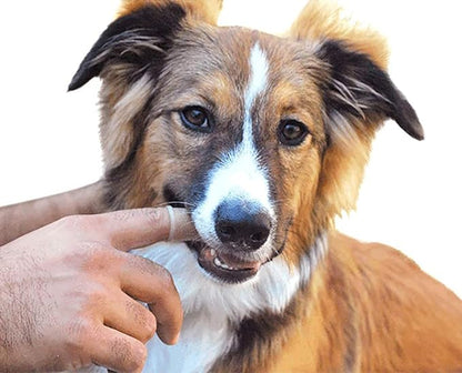 Pet Finger Toothbrush 360º Finger Toothbrush Puppy Toothbrush Cat Toothbrush for Pet Teeth Cleaning&Dog Dental Care (White, 2 Pack)