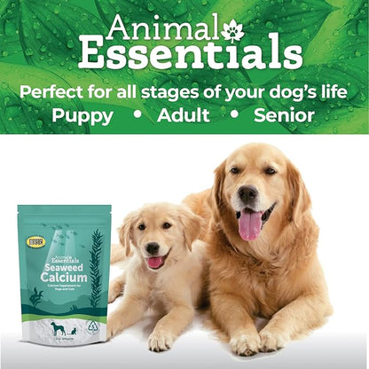 Animal Essentials Seaweed Calcium Supplement for Dogs & Cats, 12 oz (2-Pack), Iceland Seaweed Magnesium, Boron, Zinc