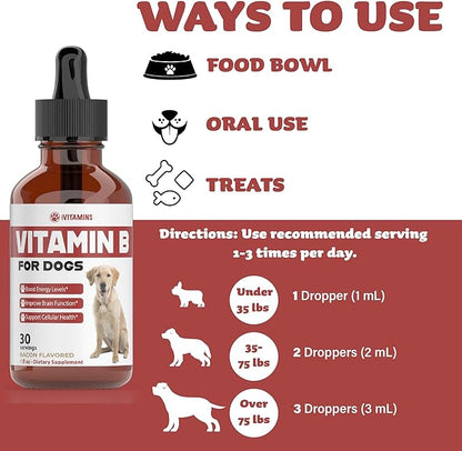 Vitamin B for Dogs | Vitamin B Complex for Dogs | Vitamin B12 for Dogs | Dog Vitamins | B12 Vitamins for Dogs | Vitamin B Dog Supplements | B Complex for Dogs | B12 for Dogs | Do1 fl oz: Bacon Flavor