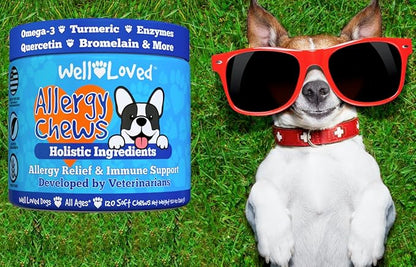 Dog Allergy Chews - Dog Allergy Relief, Made in USA, Vet Developed, Hot Spot Treatment for Dogs, Dog Itch Relief, Anti Itch for Dogs, Dog Vitamins, Dog Skin Allergies Treatment, 120 Count