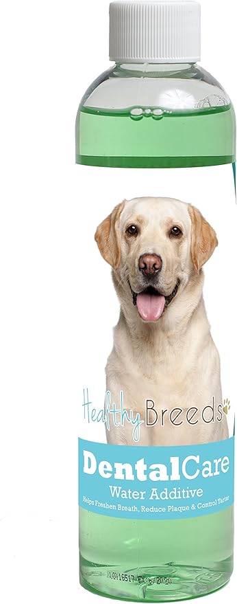 Healthy Breeds Dog Dental Care Water Additive for Labrador Retriever - Helps Freshen Breath, Reduce Plaque & Control Tartar - Mint Flavor - 8 oz