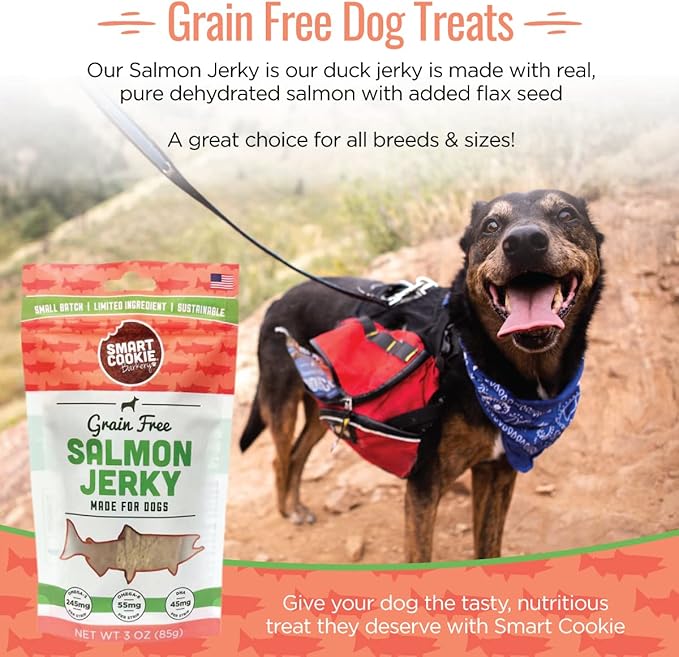 Salmon Jerky Dog Treats - DHA, Omega Strips for Dogs & Puppies with Allergies, Sensitive Stomachs with Wild Caught Alaskan Salmon- Dehydrated, Grain Free, Made in USA - 3oz Bag, Pack of 3