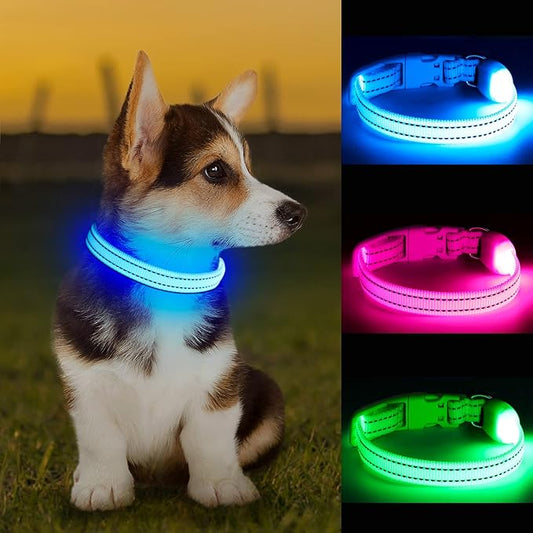 Light Up Dog Collar at Night, Led Dog Collar Adjustable, Lighted Dog Collar Rechargeable Waterproof, Dog Lights for Night Walking, Glow in The Dark Dog Collars Light for Small Pet (S, Blue)