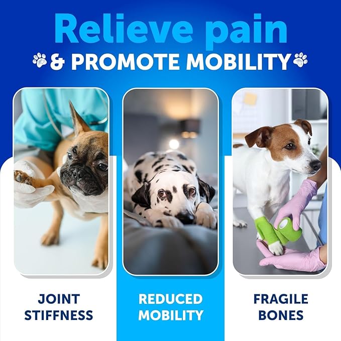 Hemp Hip and Joint Supplement for Dogs - Glucosamine for Dogs - Dog Joint Pain Relief Treats - Chondroitin - MSM - Hemp Oil - Mobility Support - Advanced Canine Joint Health - Made in USA - 120 Chews