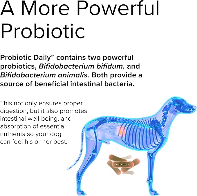 Terry Naturally Animal Health Probiotic Daily - 60 Chewable Tablets - Probiotics for Dogs, Beneficial Intestinal Bacteria to Maintain Healthy Gut Flora & Digestion - Canine Only - 60 Servings