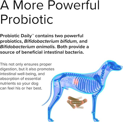 Terry Naturally Animal Health Probiotic Daily - 60 Chewable Tablets - Probiotics for Dogs, Beneficial Intestinal Bacteria to Maintain Healthy Gut Flora & Digestion - Canine Only - 60 Servings