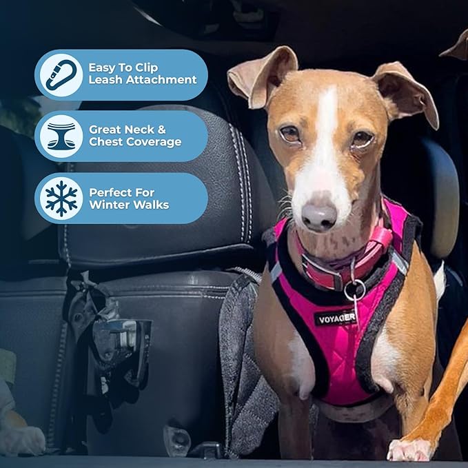 Voyager Step-In Plush Dog Harness – Soft Plush, Step In Vest Harness for Small and Medium Dogs by Best Pet Supplies - Harness (Red Rose Plush), XL (Chest: 20.5 - 23")