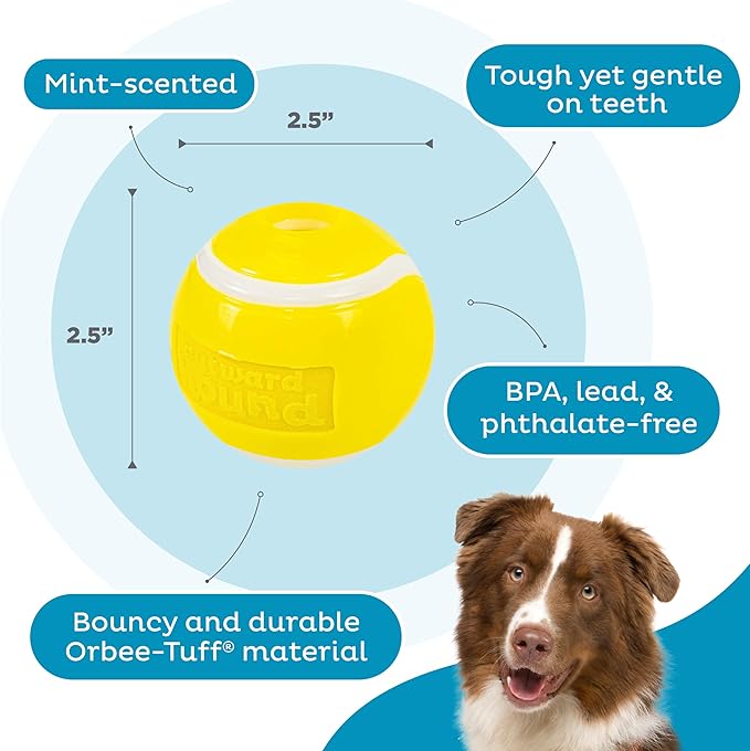Outward Hound Sport Ballz Tennis Ball Treat-Dispensing Fetch Ball Dog Toy