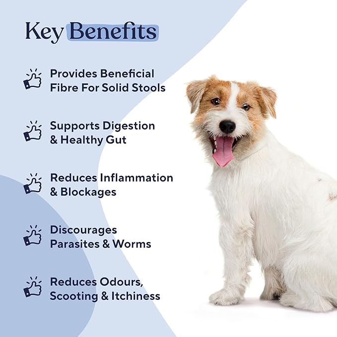 Pawfy Anal Gland Relief Chews | Stops Scooting | Stool Problems | Odors | with Fibre & Probiotics