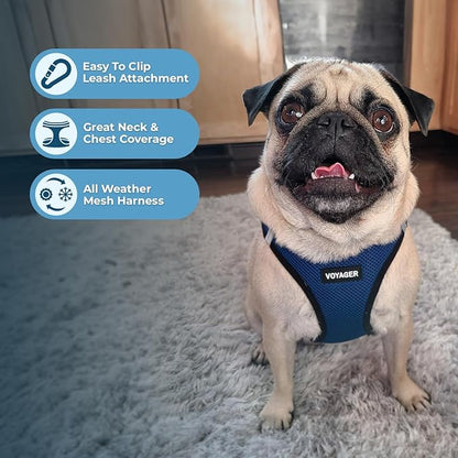 Voyager Step-In Air Dog Harness - All Weather Mesh Step in Vest Harness for Small and Medium Dogs by Best Pet Supplies - Blue Base, L