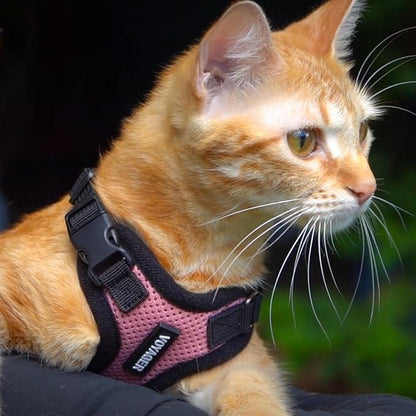 Voyager Step-in Lock Dog Harness w Reflective Dog Leash Combo Set with Neoprene Handle 5ft - Supports Small, Medium and Large Breed Puppies/Cats by Best Pet Supplies - Pink/Black Trim, M