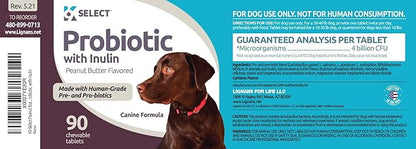 Probiotic for Dogs, with Inulin - 90 Chewable Tablets - Supports Healthy Digestion and Nutrient Absorption - Dog Probiotics and Digestive Enzymes - Probiotics for Dogs Digestive Health