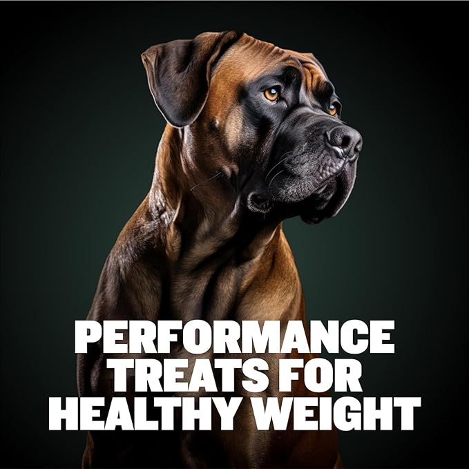 Bully Max Dog Weight Gainer Chews - High Calorie Health Supplement for Healthy Weight Gain, Immunity & Digestive Health for All Breeds & Ages - 2 Packs, 75 Soft & Tasty Chews per Pack