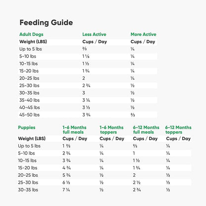 Open Farm Freeze Dried Raw Dog Food, Humanely Raised Meat Recipe with Non-GMO Superfoods and No Artificial Flavors or Preservatives (22 Ounce (Pack of 1), Pasture Raised Lamb)