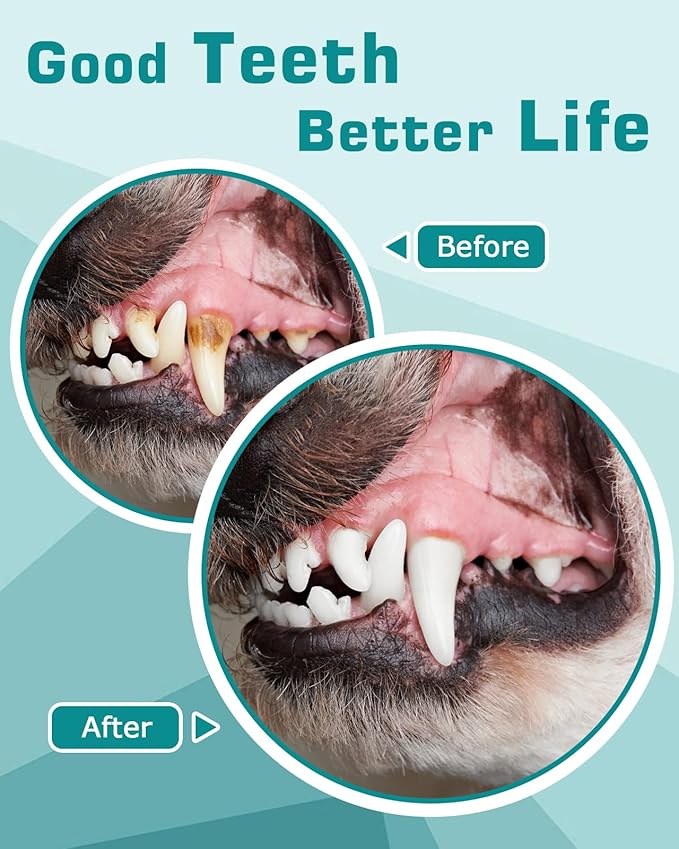 Pet Plaque Remover for Teeth with LED Light - 12 Pack Dog Tooth Brushing Kit, USB Charge Dog Teeth Cleaning Tools 5 Cleaning Mode with Dental Tools Scaler Scraper, Finger Toothbrush