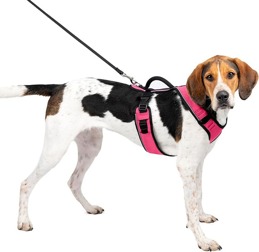 PetSafe EasySport Dog Harness – Adjustable, Padded Dog Harness with Control Handle and Reflective Piping – Large, Pink