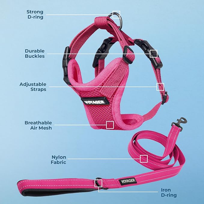 Voyager Step-in Lock Dog Harness w Reflective Dog Leash Combo Set with Neoprene Handle 5ft - Supports Small, Medium and Large Breed Puppies/Cats by Best Pet Supplies - Fuchsia, S