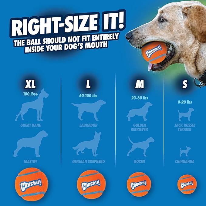 Chuckit Dog Tennis Ball Dog Toy, Small (2 Inch Diameter) for dogs 0-20 lbs, Shrink Wrap Pack of 2