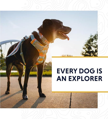 Ruffwear, Front Range Dog Leash, 5 ft Lead with Padded Handle for Everyday Walking, Moonlight Fade