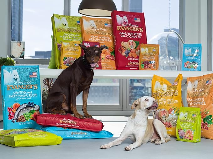 Evanger's Super Premium Chicken with Brown Rice Dry Dog Food