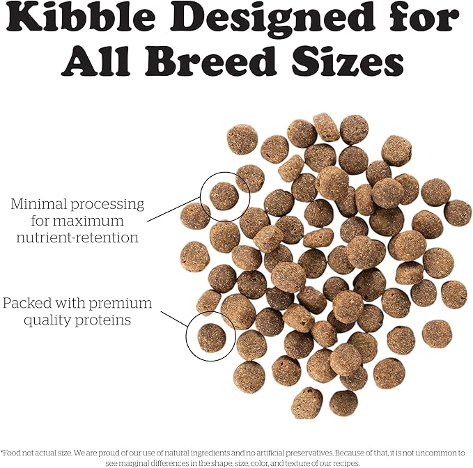 Now Fresh Grain Free Dog Food, 12 lb Adult & 22 lb Senior Recipe Dry Dog Food