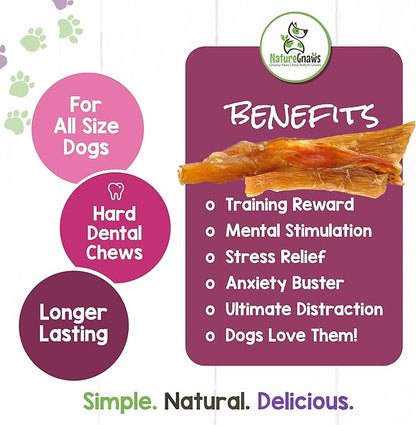 Nature Gnaws Mixed Beef Tendons & Paddywack for Dogs - Premium Natural Beef Dental Bones - Long Lasting Tasty Dog Chew Treats - Puppy Training Reward