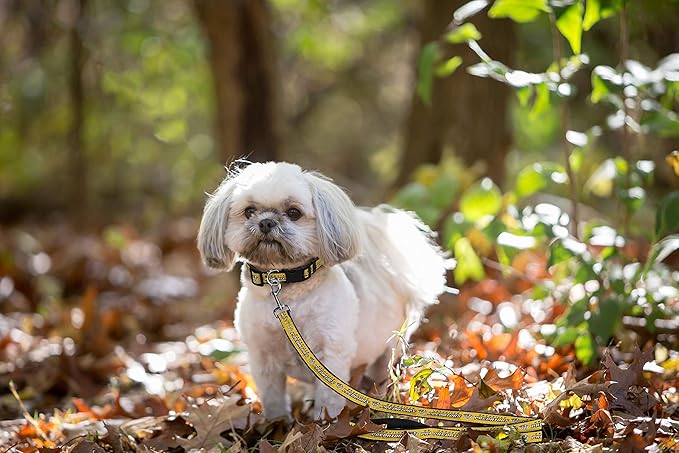 Pets First NHL Nashville Predators Leash for Dogs & Cats, Medium. - Walk Cute & Stylish! The Ultimate Hockey Fan Leash!, 4 ft Long x 0.62 in Width, PRD-3031-MD