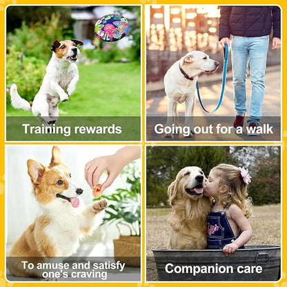 Dog Biscuits Training Treats Chicken Pumpkin Biscuits, Grain Free Gluten Free Chewy Snacks, Rawhide Free Soft Chewy, 11.6oz