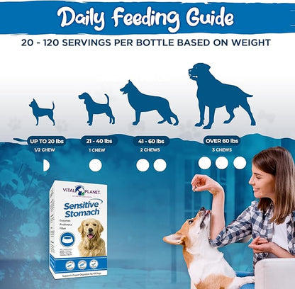 Vital Planet - Sensitive Stomach for Dogs with Enzymes, Probiotics and Fiber, Natural Digestive Support for Upset Stomach with Fennel, and Peppermint, 60 Chicken Flavored Chewable Tablets