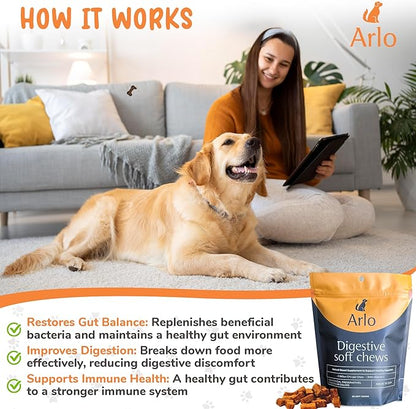 Daily digestive supplement