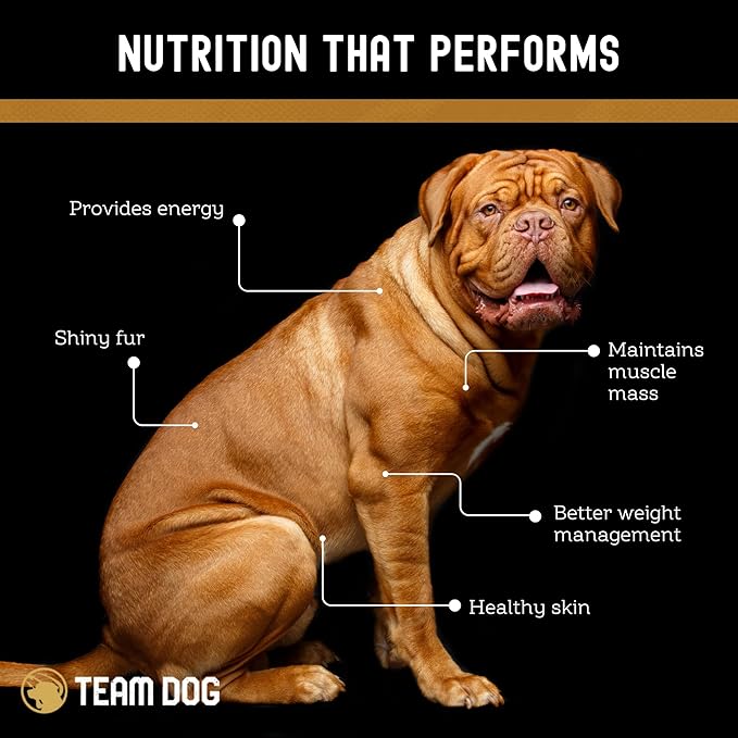 Freeze Dried Turkey Dog Treats for Training | Healthy Gluten Free, Grain Free Dog Treats | No Added Fillers, Flavoring or by-Products | for All Breeds & Sizes | 5.2 Oz