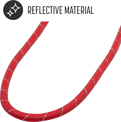Franklin Pet Supply Nylon Dog Leash – Rope – Reflective – Dog Training – 6 Foot – Dog Walking – Ultra Strong – Red
