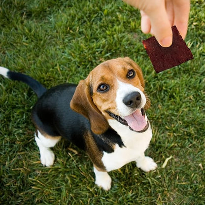 Beef Jerky Square Dog Treats 15 Oz Pack All-American Slow Roasted Beef Training Treats for Dogs - Healthy & Delicious Beef Jerky Dog Treats - A Must-Have Reward Snack for Dogs