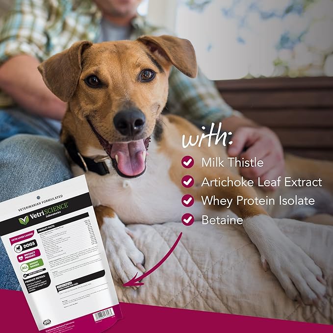 VetriScience Vetri Liver Canine Milk Thistle Supplement for Dogs – Advanced Liver Supplement for Dogs with Antioxidants, Liver Detox, for Sensitive Stomachs, 60 Bite-Sized Chews