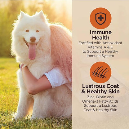 Wellness CORE Digestive Health Large Breed Chicken & Brown Rice Dry Dog Food, 24 Pound Bag