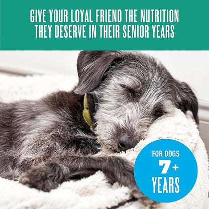 Tiki Dog Senior Mousse Wet Dog Food, Chicken, Lamb & Pumpkin Recipe, 3.5 oz. Pouch (12 Count)