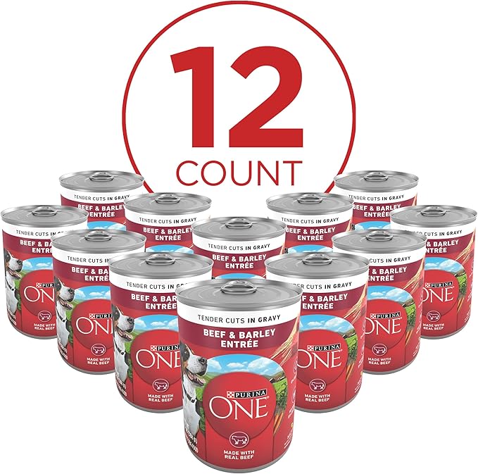 Purina ONE Tender Cuts in Gravy Beef and Barley Entree in Wet Dog Food Gravy - (Pack of 12) 13 oz. Cans