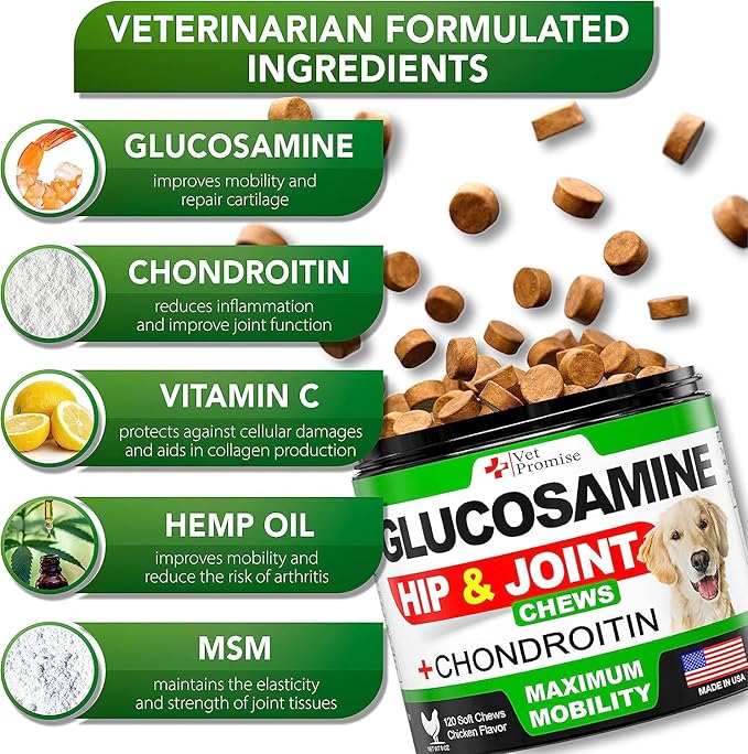 (2 Pack) Glucosamine for Dogs - Hip and Joint Supplement for Dogs - Glucosamine Chondroitin for Dogs - Dog Joint Pain Relief - MSM - Hemp - Advanced Support Dog Joint Supplement - 240 Mobility Chews