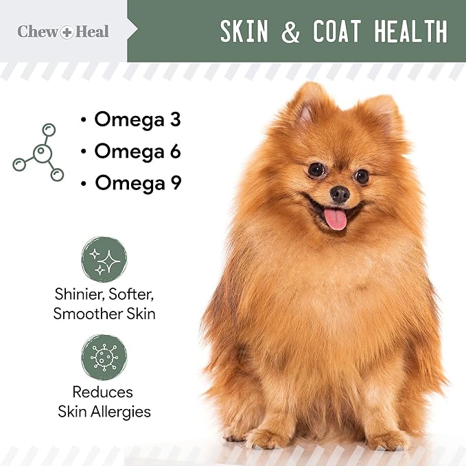 Chew + Heal All in 1 Dog Vitamin, 2PK - 240 Soft Chew Treats - Chewable Multivitamin with Probiotics, Digestive Enzymes, for Skin and Coat, Hip and Joint Support - Made in The USA