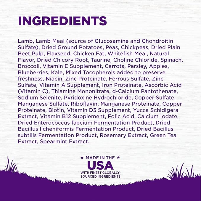 Wellness Complete Health Grain Free Adult Dry Dog Food, Lamb & Lamb Meal Recipe, 22 Pound Bag