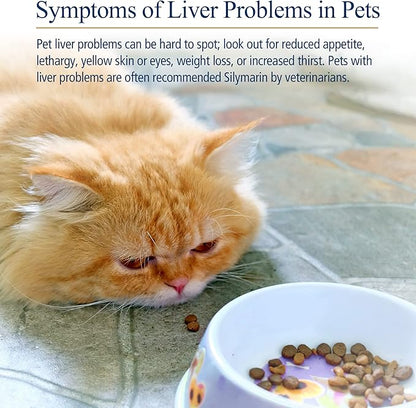 Rx Vitamins Hepato Support for Dogs & Cats - Milk Thistle Supplement for Pets - 100mg Milk Thistle for Healthy Liver Function - Silymarin Capsules for Pets - 180 ct.