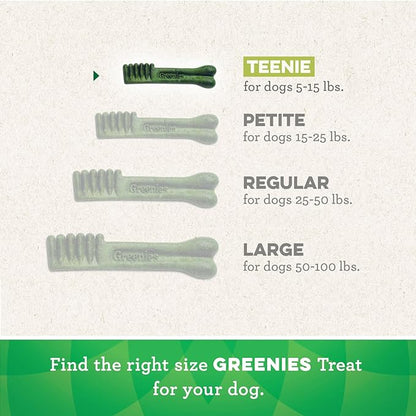 Greenies Pumpkin Spice Flavor Teenie Size, Veterinarian-Recommended for Dental Care, Dog Treat Chews, Limited Edition, 12 oz., Pack of 43