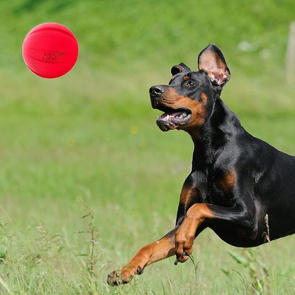 Nerf Dog Classic Ball Dog Toy with Interactive Squeaker, Lightweight, Durable and Water Resistant, 3.8 Inches, for Medium/Large Breeds, Two Pack, Green and Red