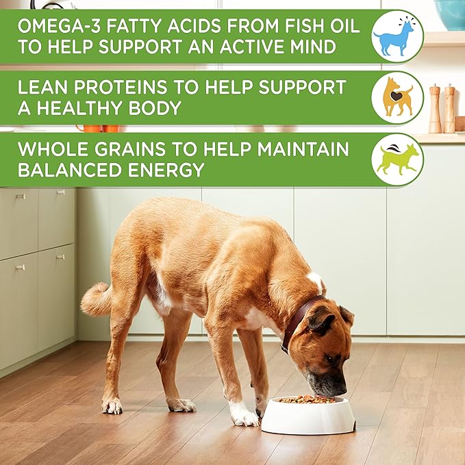 Nutrish Rachael Ray Chunks in Gravy Wet Dog Food Real Chicken & Veggies Recipe, 13 Ounce (Pack of 12)